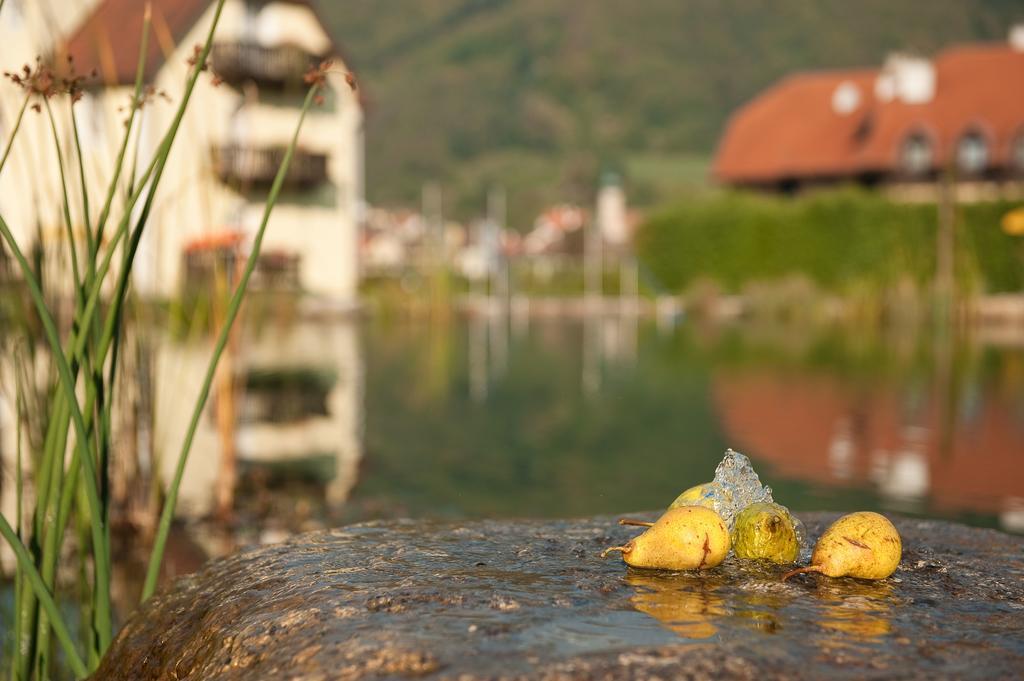 Romantikhotel Residenz Wachau Aggsbach Exterior foto